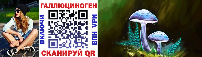 KRAKEN зеркало  закладки  Истра  Галлюциногенные грибы Psilocybine cubensis 