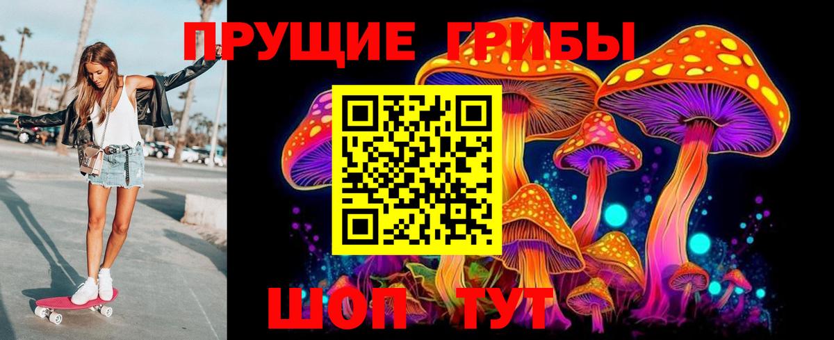 Псилоцибиновые грибы MAGIC MUSHROOMS  закладка  Истра  Вход с VPN 