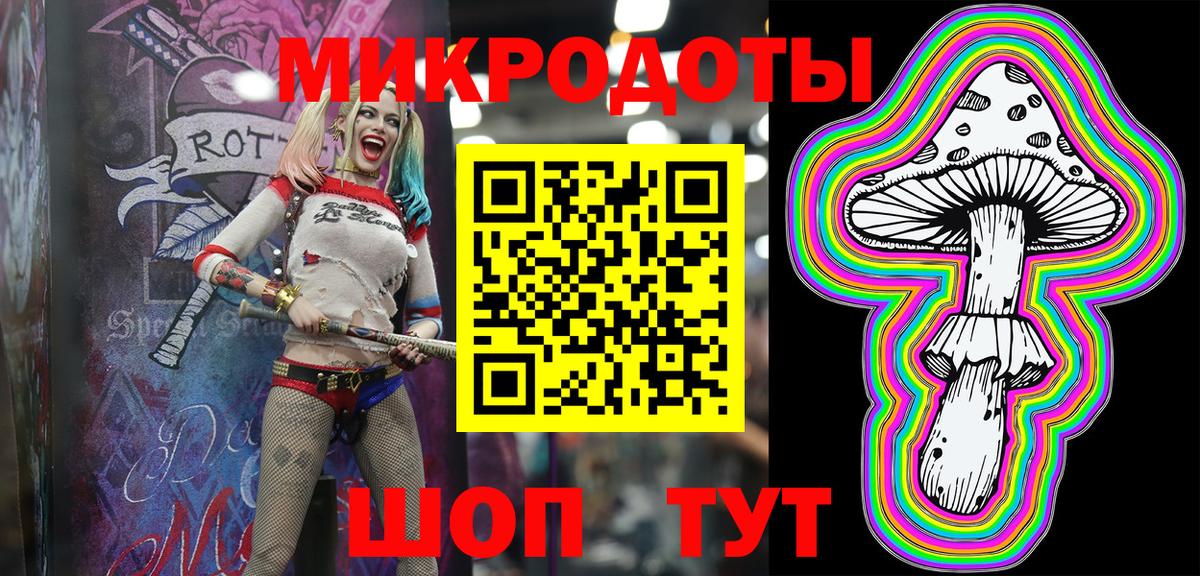 Псилоцибиновые грибы Psilocybe Истра